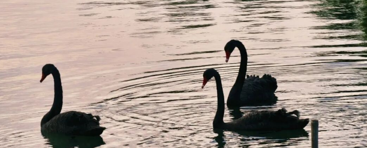 “请慢下来，多看看自己”